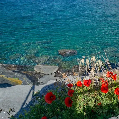 Il Sogno Di Annetta Porto Venere